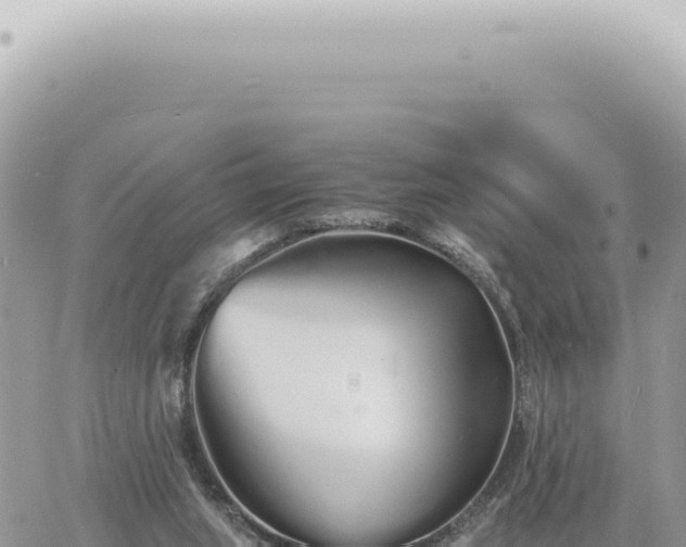 X0000060770063200511171224