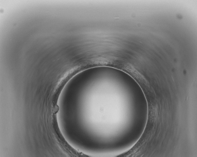 X0000060770064200511171224