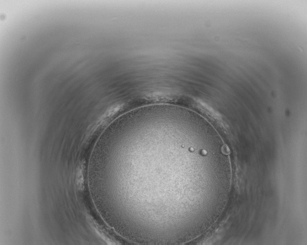 X0000060770065200511171224