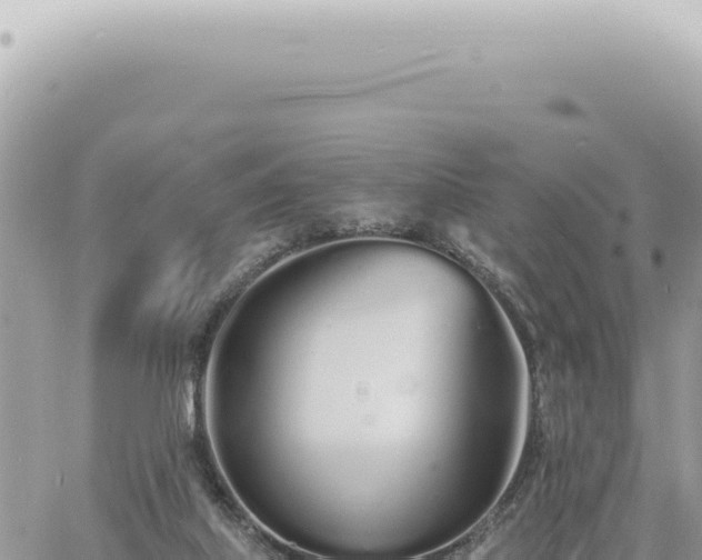 X0000060770067200511171224