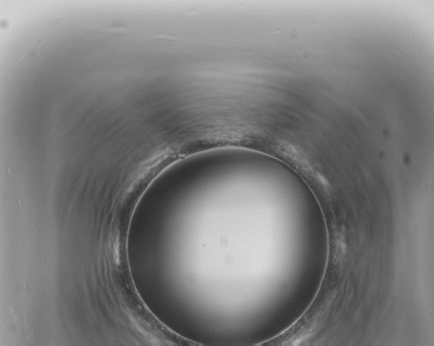 X0000060770068200511171224