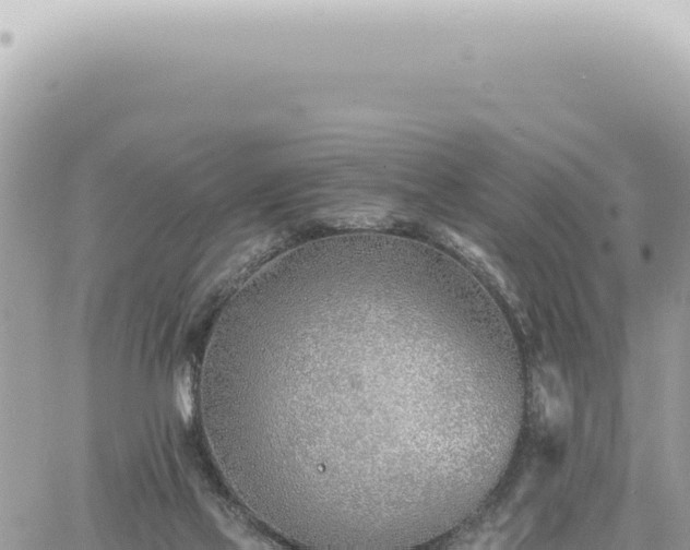 X0000060770069200511171224