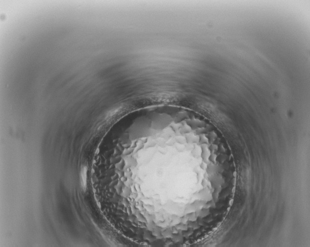 X0000060770070200511171224