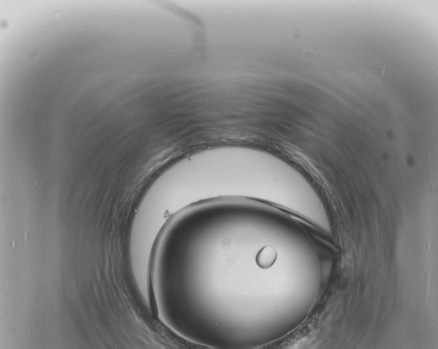 X0000060770071200511171224