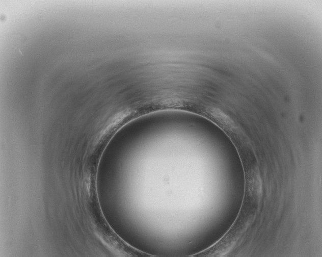 X0000060770072200511171224