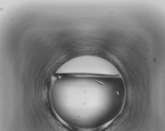 X0000060770073200511171224