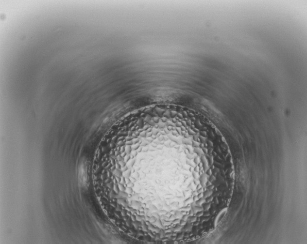 X0000060770074200511171224