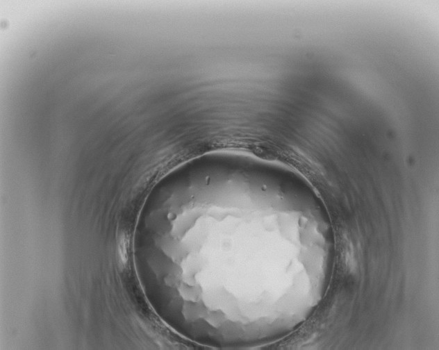 X0000060770075200511171224