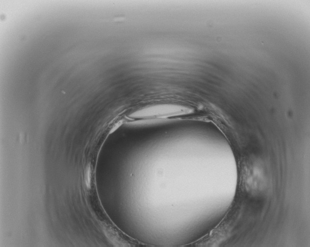 X0000060770076200511171224