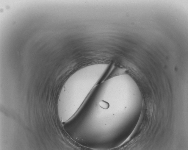 X0000060770077200511171224