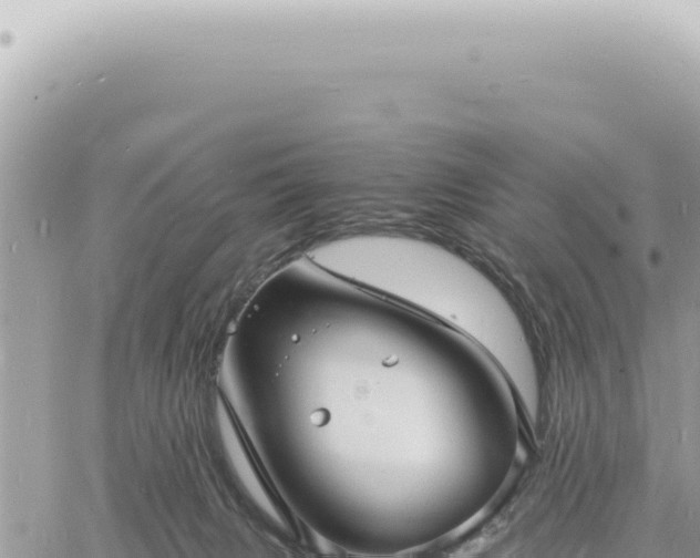 X0000060770079200511171224