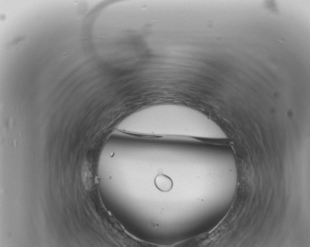 X0000060770080200511171224