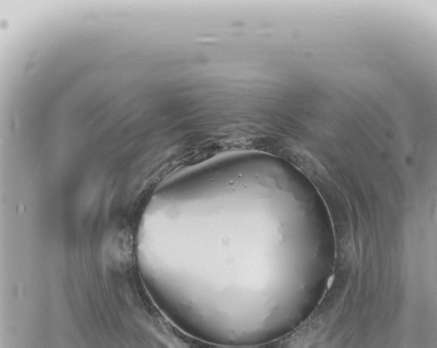 X0000060770081200511171224