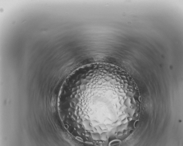 X0000060770082200511171224