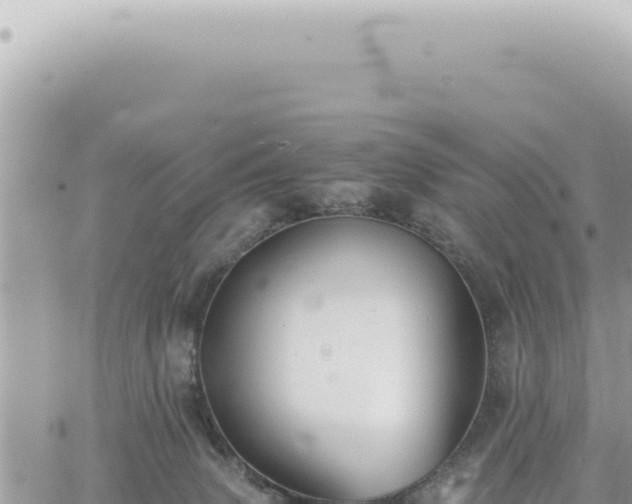 X0000060770083200511171224