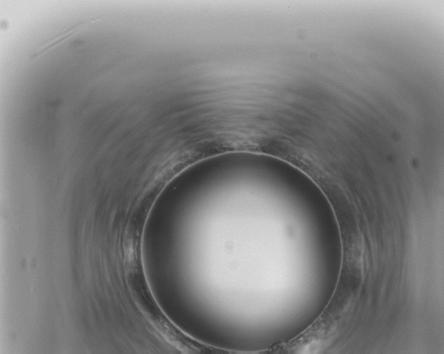 X0000060770084200511171224