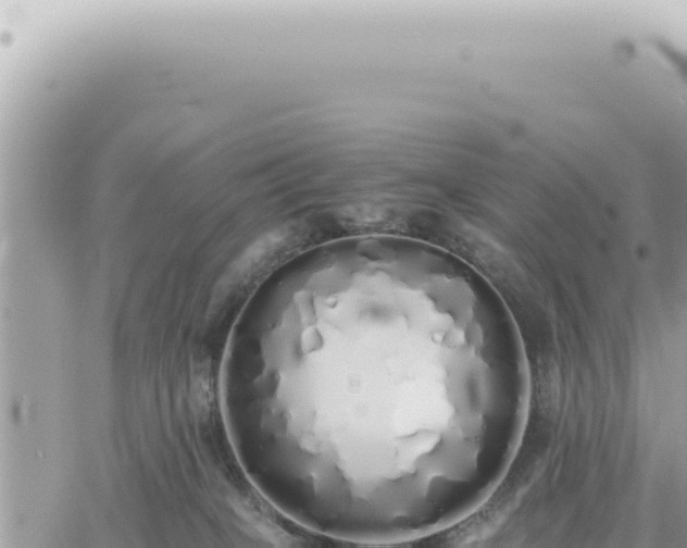 X0000060770085200511171224