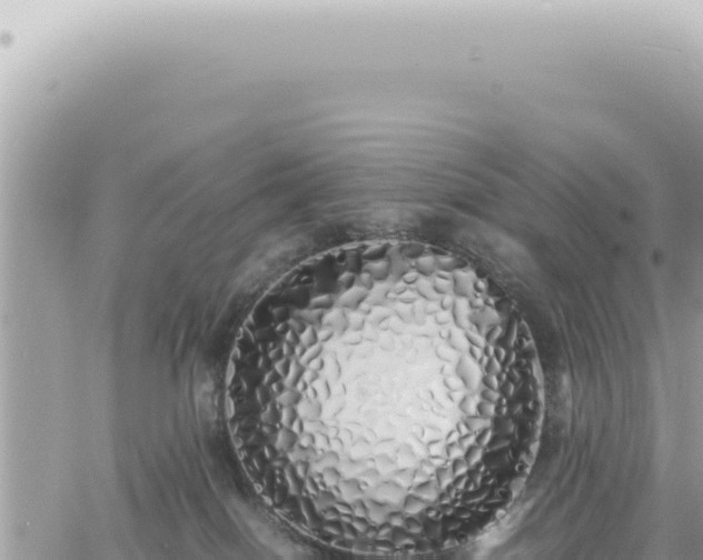 X0000060770086200511171224