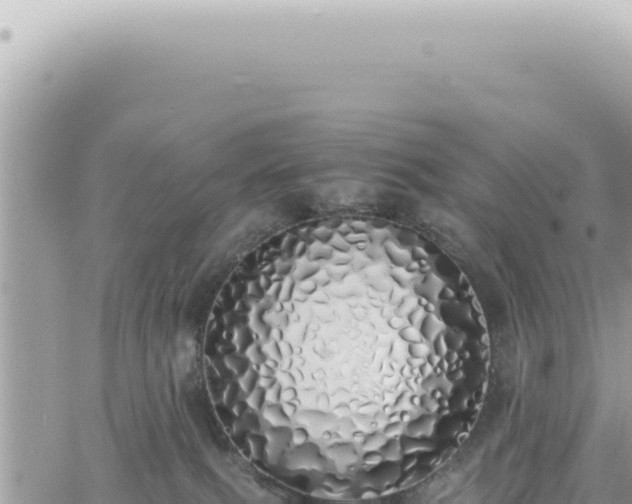 X0000060770087200511171224