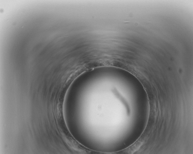 X0000060770088200511171224