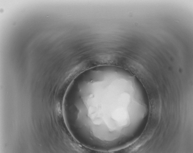 X0000060770089200511171224