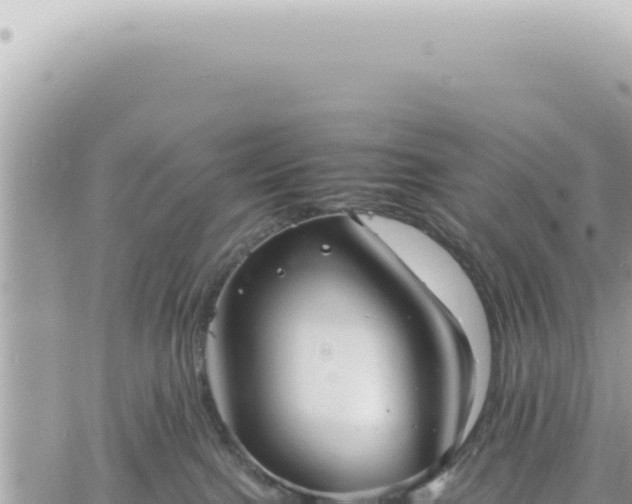 X0000060770091200511171224