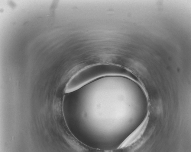 X0000060770092200511171224