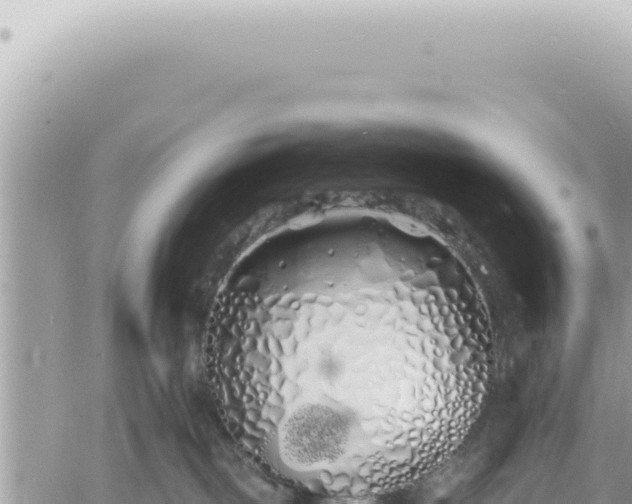 X0000060770093200511171224