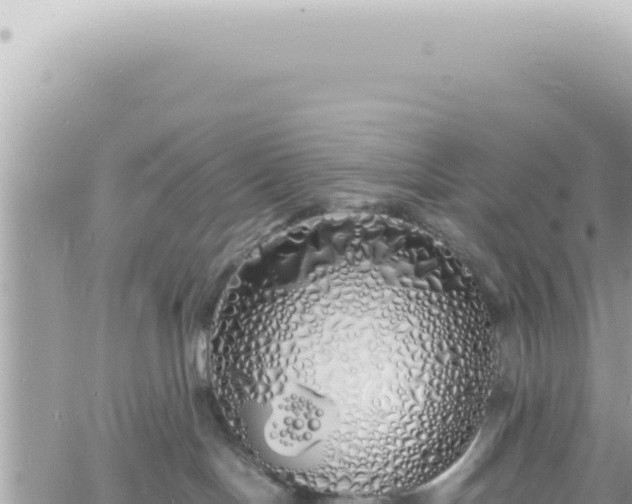 X0000060770094200511171224