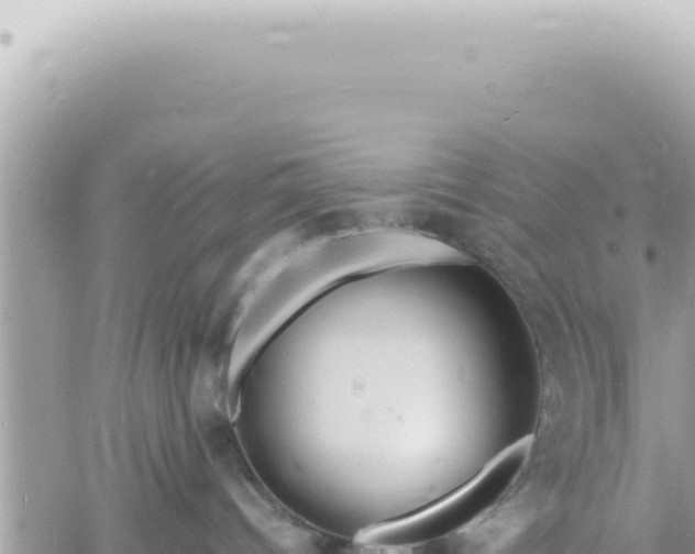 X0000060770096200511171224