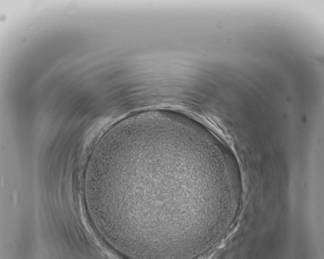 X0000060770097200511171224