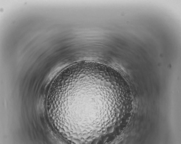 X0000060770098200511171223