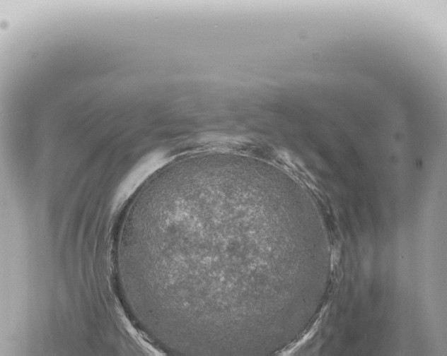 X0000060770101200511171223