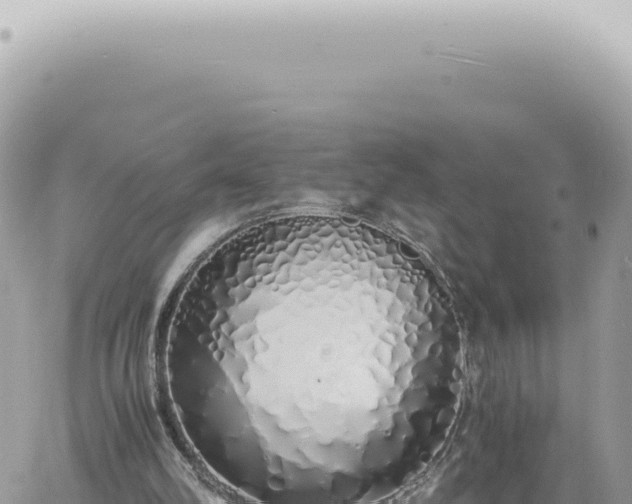 X0000060770102200511171223