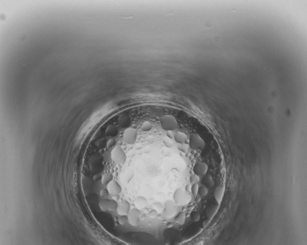 X0000060770103200511171223