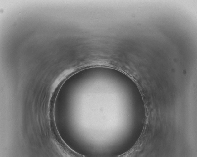 X0000060770104200511171223