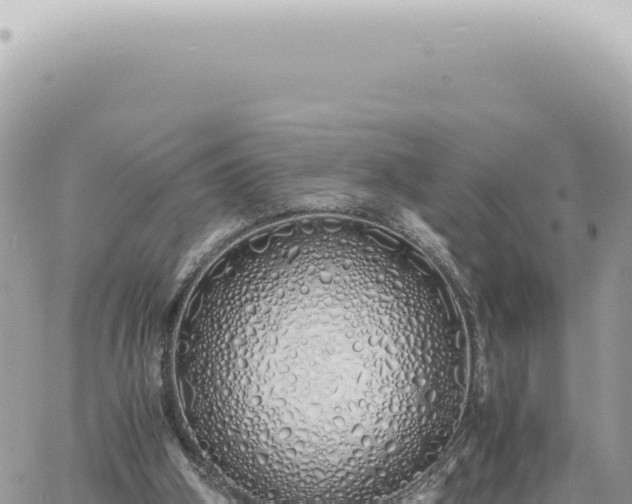 X0000060770106200511171223