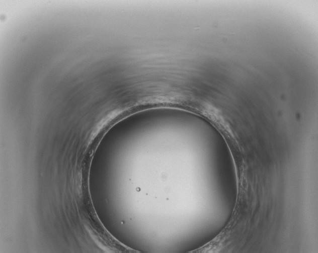 X0000060770108200511171223