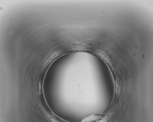 X0000060770109200511171223