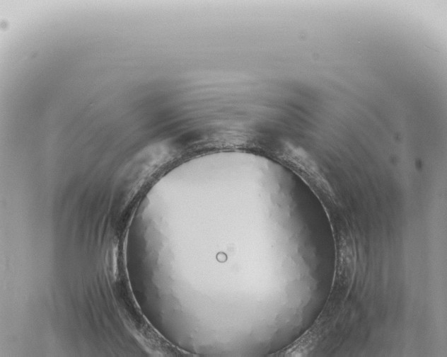 X0000060770110200511171223