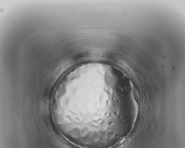 X0000060770111200511171223