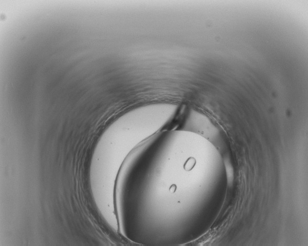 X0000060770117200511171223