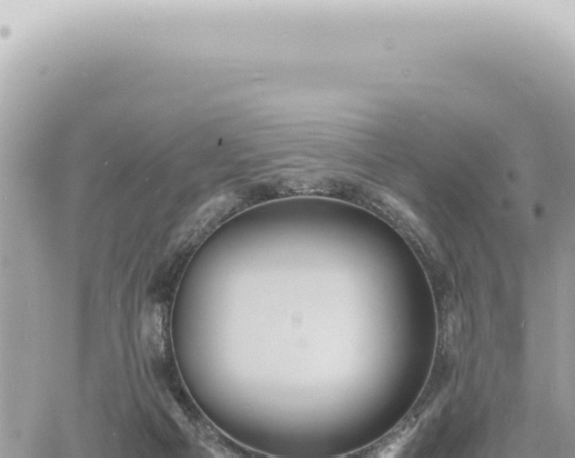 X0000060770121200511171223