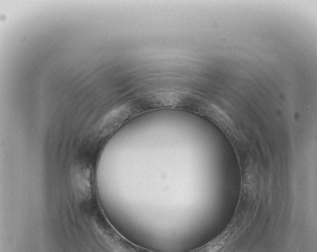 X0000060770122200511171223