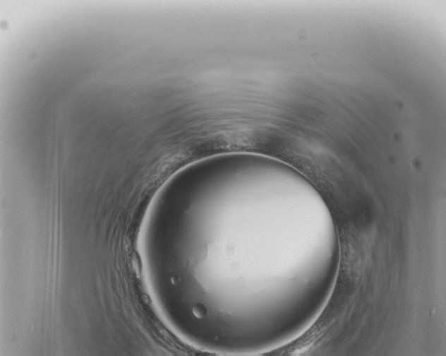 X0000060770123200511171223