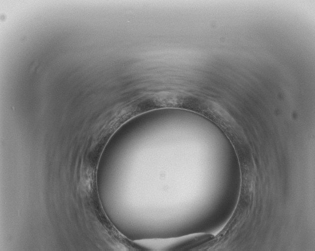 X0000060770125200511171223