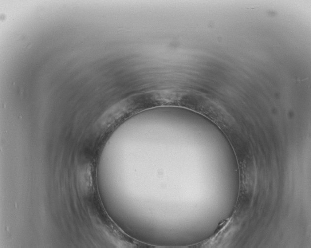 X0000060770128200511171223