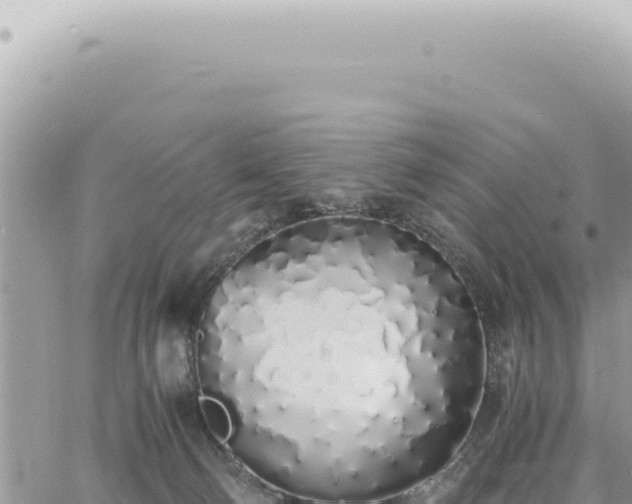 X0000060770130200511171223