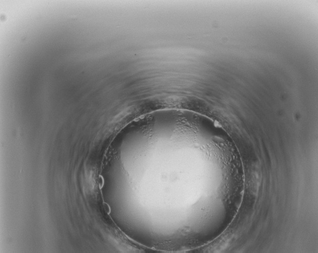 X0000060770131200511171223