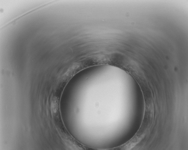 X0000060770133200511171223